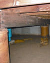 Mold and rot thriving in a dirt floor crawl space in Macon