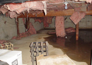 Fiberglass dripping off of the ceilings of a Barnesville crawl space